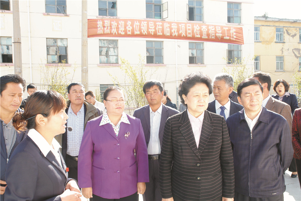 4中央政治局委员，，，，，，，国务院副总理、党组成员刘延东视察湖北万赢娱乐集团青海项目部 